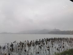 -湖畔居茶楼(湖滨店)