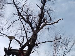 -终南山南五台景区