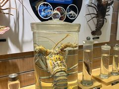 -青岛海底世界-水族馆
