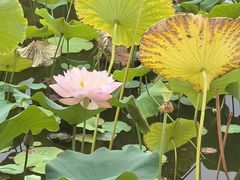 -木塔寺遗址生态公园