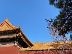 -宝瑞门钉肉饼店