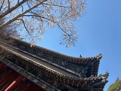 -碑林公园
