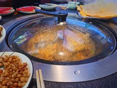 -挂雪铁锅炖大鹅
