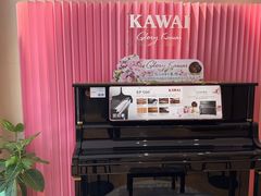 -柏斯音乐艺术中心·钢琴·吉他(上音店)
