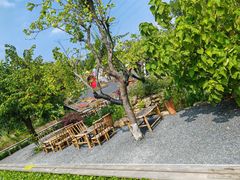 -一品烧农庄·佛山本地特色菜