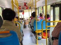 -五营红松林海景区