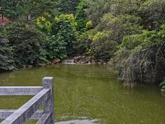 -广州市帽峰山景区