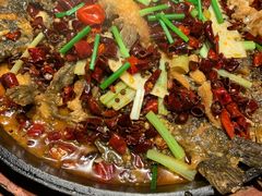 -老板恋上鱼(高新万达店)