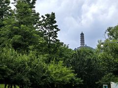-北坞公园