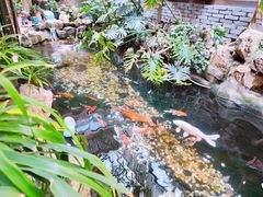 -聚缘堂·海鲜私房菜(松岭路店)