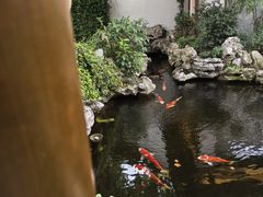 -鲤院·新中式美学·庭院餐厅(夫子庙店)