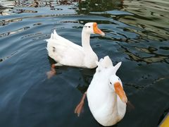 -西安汉城湖景区