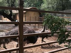 -秦皇岛野生动物园