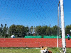 -瀛海足球主题公园