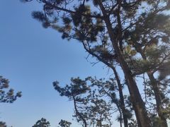 -银滩滨海旅游度假区