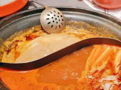 -生活如沸·顺德水牛奶火锅(大学路店)