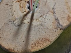 -范饭椰林川湘味海鲜·椰子鸡(三亚湾椰梦长廊店)