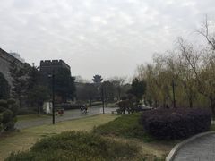 -湖南东洞庭湖国家级自然保护区