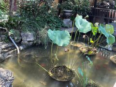 -聚缘堂·海鲜私房菜(松岭路店)