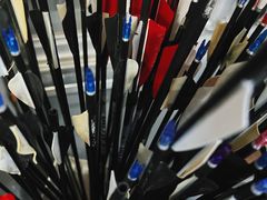 -蓝天射箭馆·专业射箭运动(诚丰广场店)