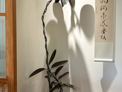 -本無咖啡·BeanWood Coffee