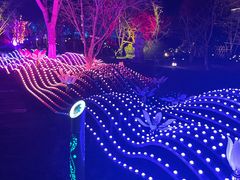 -茅山东方盐湖城景区