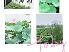 -素心小筑(后沙裕镇店)