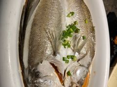 葱椒鲈鱼-绿茶餐厅(天津天河城店)