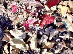 -玉渡山自然风景区