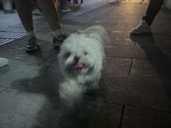 -成都动物园