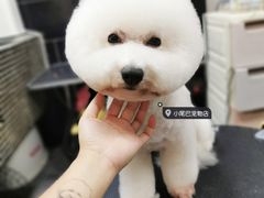 -小尾巴宠物店(万科·金域华庭店)