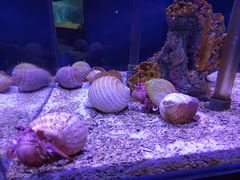 -太平洋海底世界