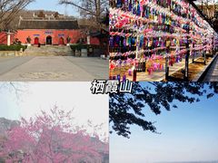 -南京博物院