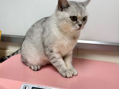 -宠颐生中康贝怡动物医院