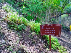 -终南山南五台景区