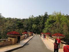 -云溪植物园
