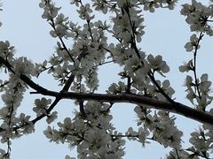 -南开大学(津南校区)