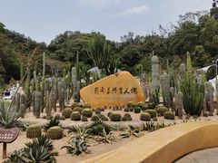 -深圳仙湖植物园