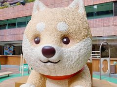 -新城市广场