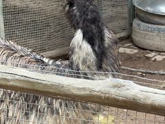 -青藏高原野生动物园