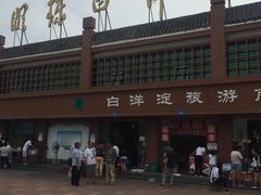 -白洋淀景区