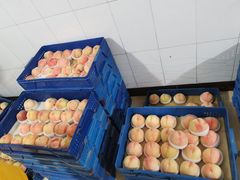 -老袁家蜜桃农场·阳山水蜜桃