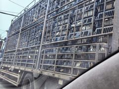 -渝半城经典川粤菜(重庆天地店)