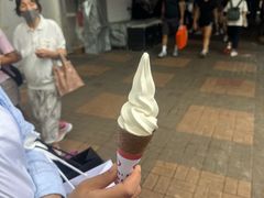 -富豪雪糕车流动点(尖沙咀)
