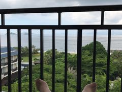-采粤轩中餐厅(惠州金海湾喜来登度假酒店)