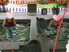 -中家鑫园温泉酒店鑫悦汤泉