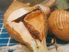 炭烤响螺-金龙·打边炉(南京西路店)