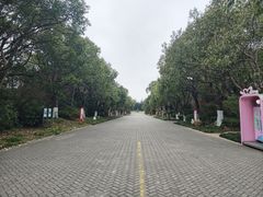 -上海海湾国家森林公园