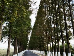 -嘉北郊野公园