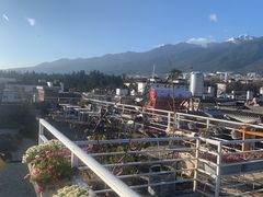 -唐咖精品咖啡(大理古城手冲店)